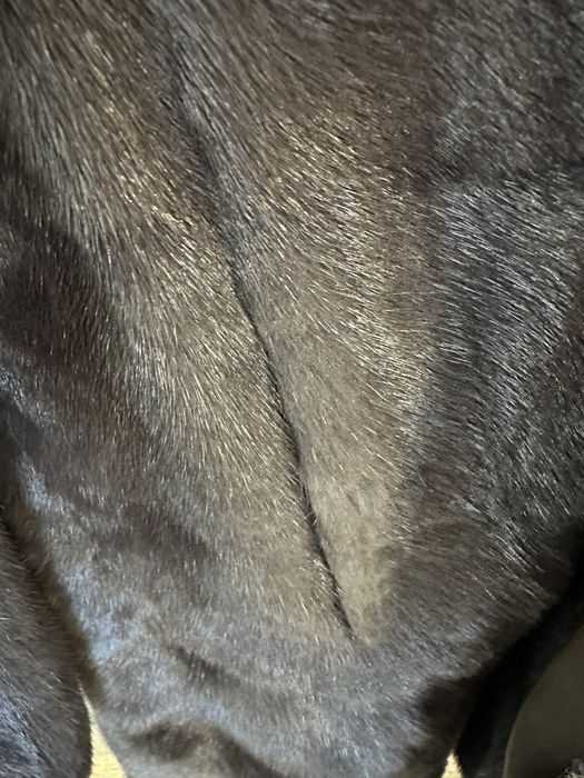 Норкова шуба Kastoria furs розмір М-L