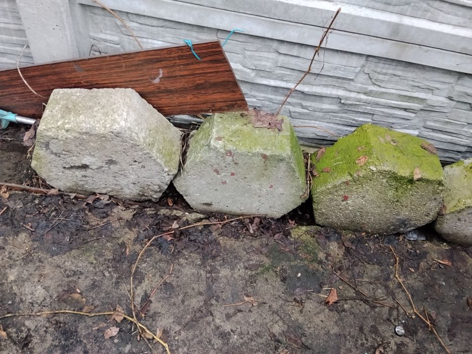 Trelinka za darmo  kostka