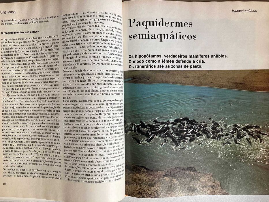 Enciclopédia Os Animais