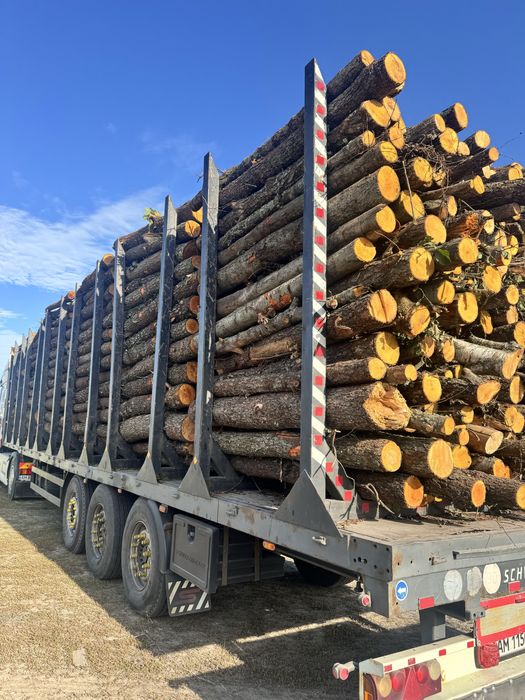 Дрова різних порід,рубані і не рубані