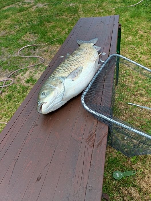 Siedlisko Rybakówka w pierwszej linii brzegowej Kaszuby