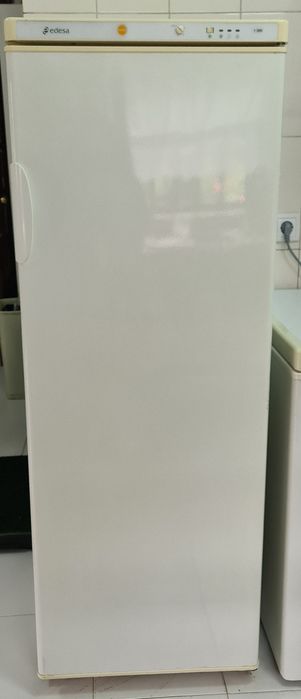 Arca congeladora vertical, marca Edesa