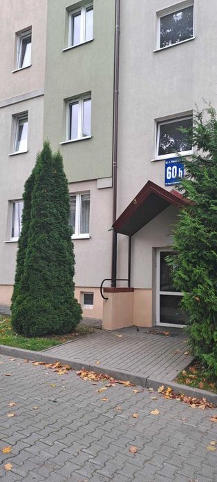 Zdjęcie 2