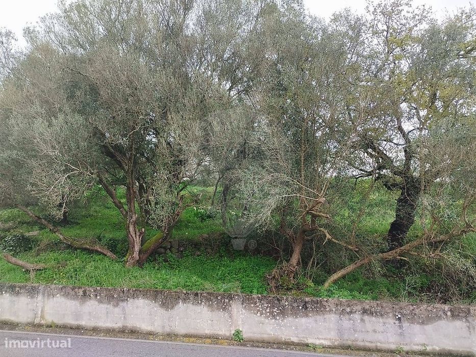 Terreno  para venda — Almargem Do Bispo, Pêro Pinheiro E Montelavar, Lisboa