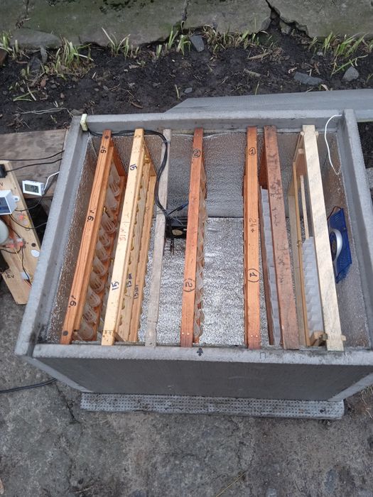 Інкубатор для виводу бджоломаток