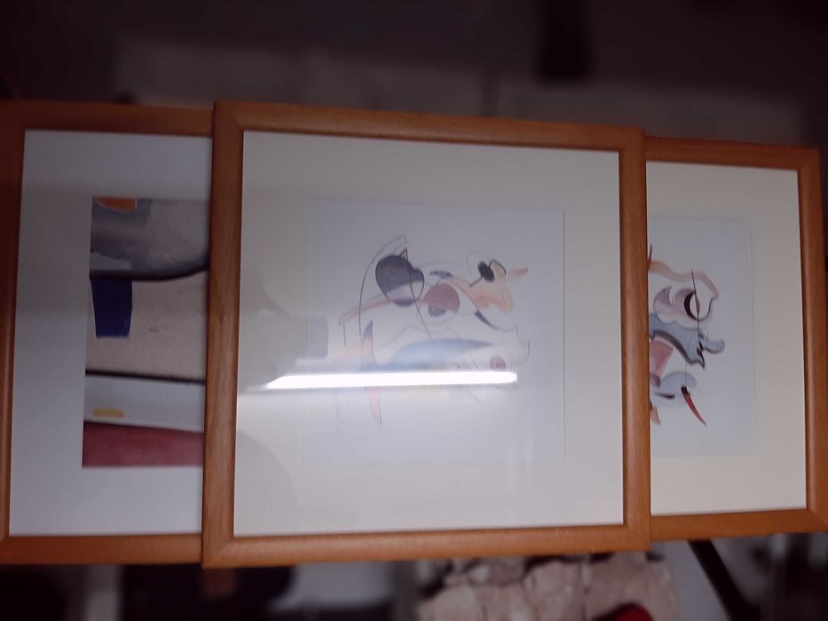 Conjunto de 5 quadros de decoração