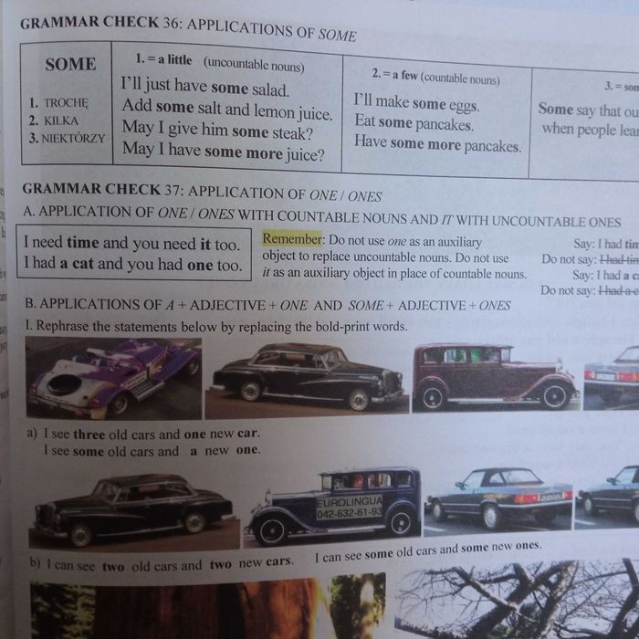 angielski ENGLISH THE WAY IT IS ELEMENTARY Książka do nauki języka