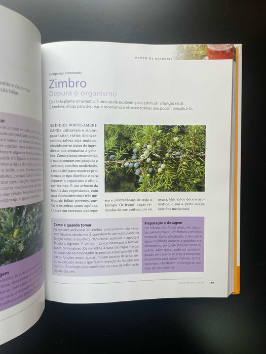 Viver Melhor: Remédios Naturais - Plantas para o bem-estar