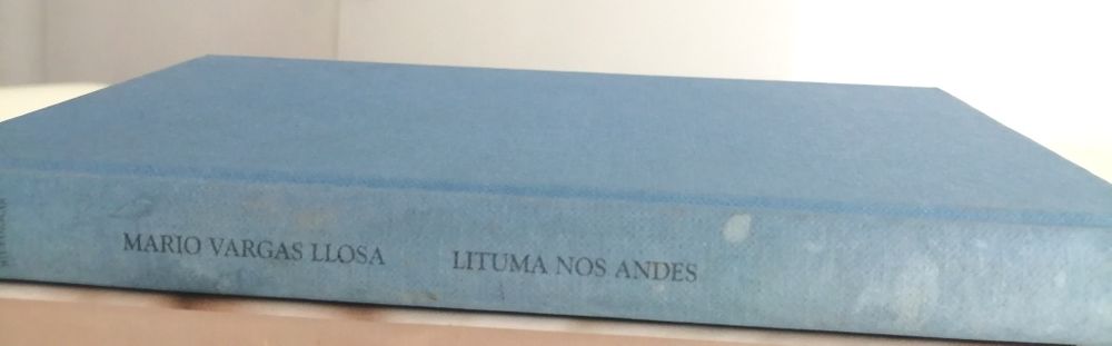 Livro de Mário Vargas Llosa,