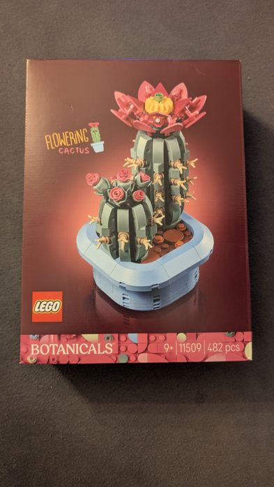 LEGO Botanicals Kwitnący kaktus nr 11509 NOWY