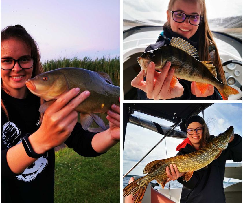 Sauna balia - Nowa osada - Domki przy plaży - Wakacje, Majówka