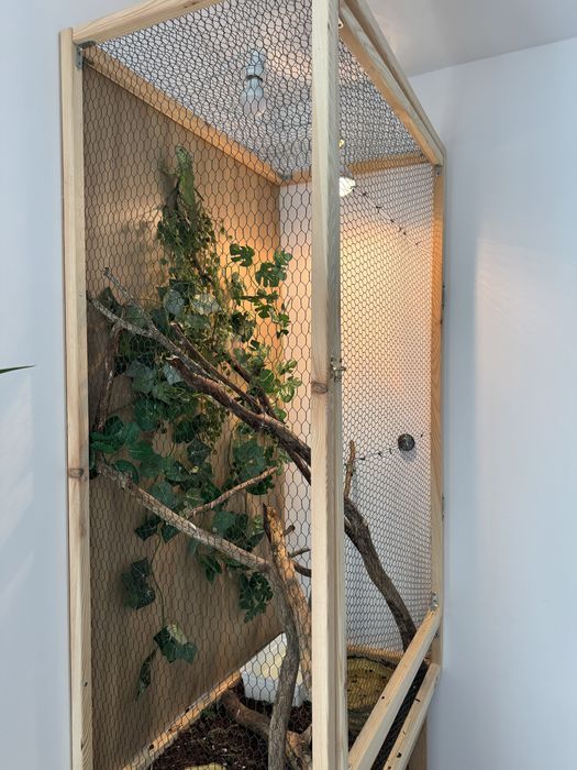 Sprzedam terrarium 54x88x152