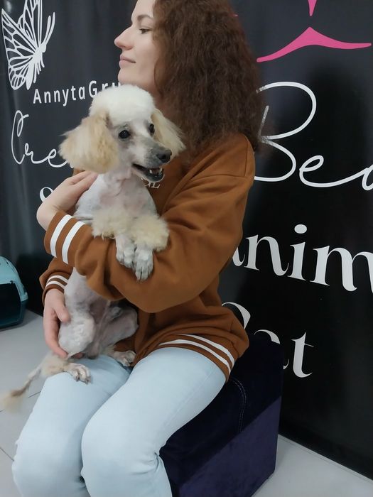 Стрижка собак,котів,котов,грумер,грумінг,без наркозу, з виїздом,выезд