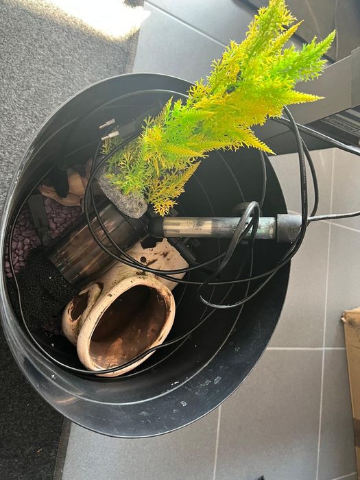 Akwarium dla rybek, gadów z asortymentem