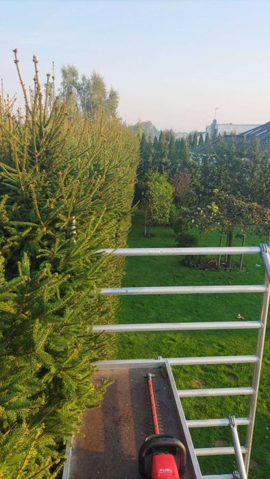 Wycinka drzew/zakładanie ogrodów/prace pielęgnacyjne