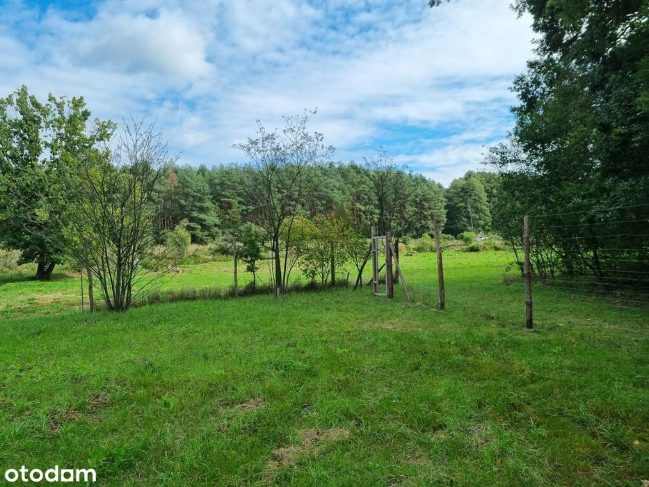 Działka 3000m² z linią brzegową - szlak kajakowy Obra - Ansicht 3