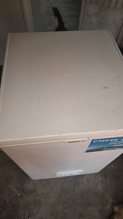 Arca congelados pequena