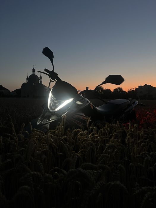 Viper v250l 2025