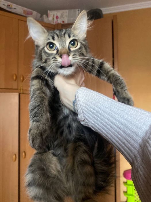 Спешите приобрести радость