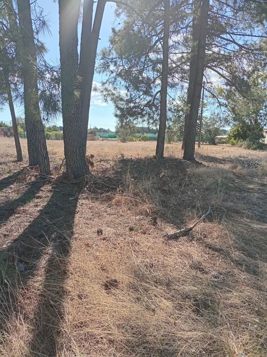 Terrenos venda do Alcaide  ,6mil euros de entrada
