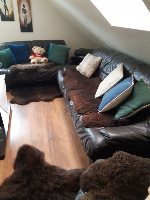 Komplet mebli skórzanych. 3+2+1