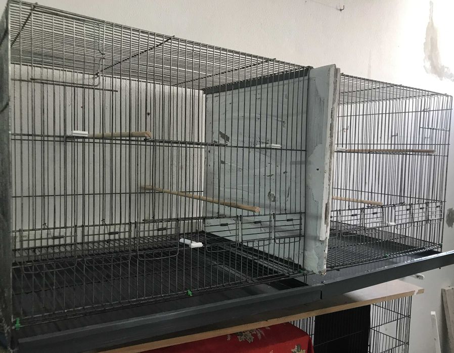 Vendo dois Viveiros para canários Zicados