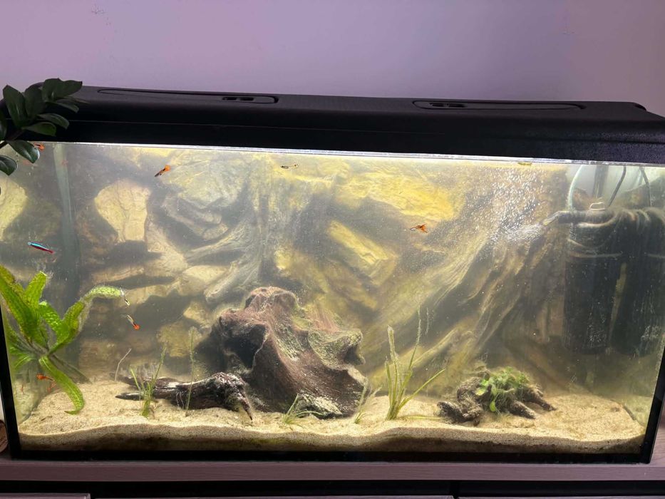 Sprzedam akwarium 200l