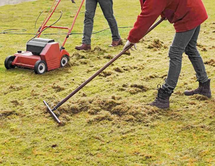 Wertykulacja i pielęgnacja trawników