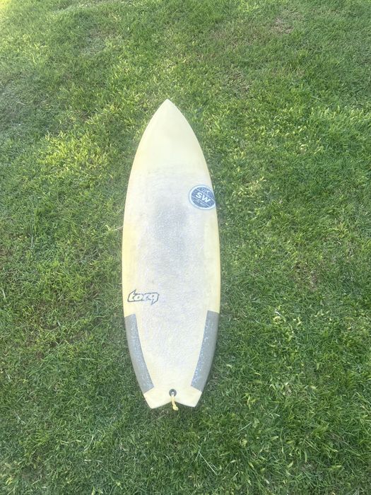 Torq fish TEC performance 6.0