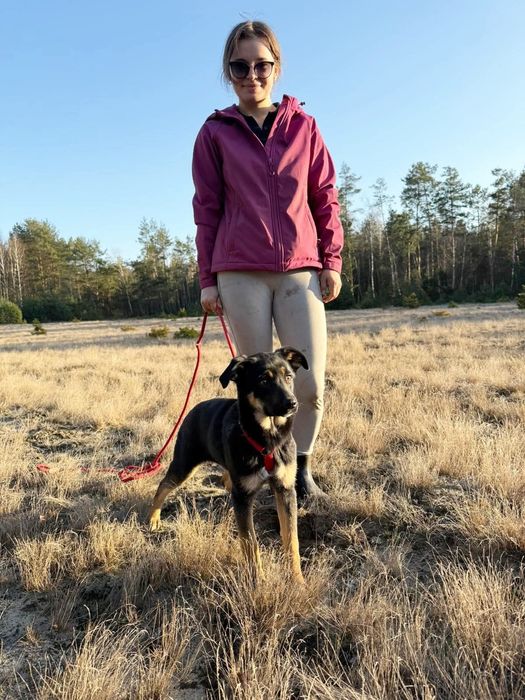 Biedna młodziutka Figa błaga o dom zza krat