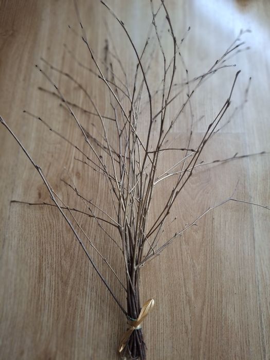 Rózga, gałązka brzozowa, dekoracja, ozdoba,