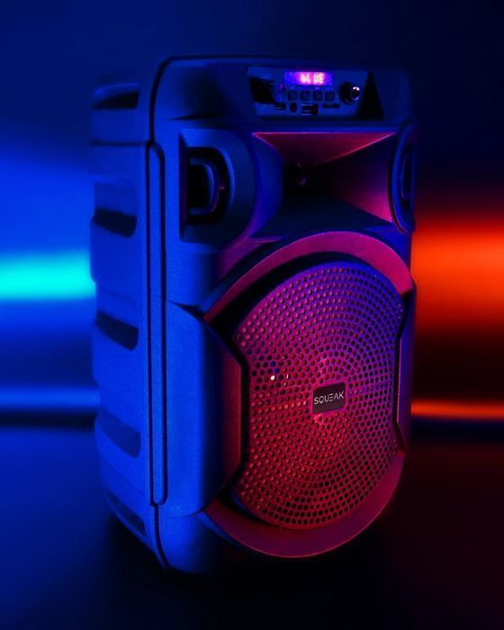 Głośnik bluetooth przenośny Squeak PulseTower radio FM USB-C AUX 35W