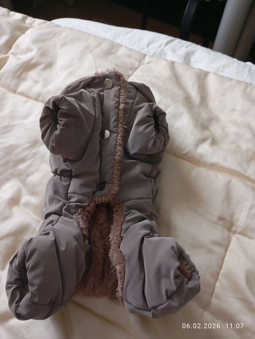 для собак зимовий одяг і весняний