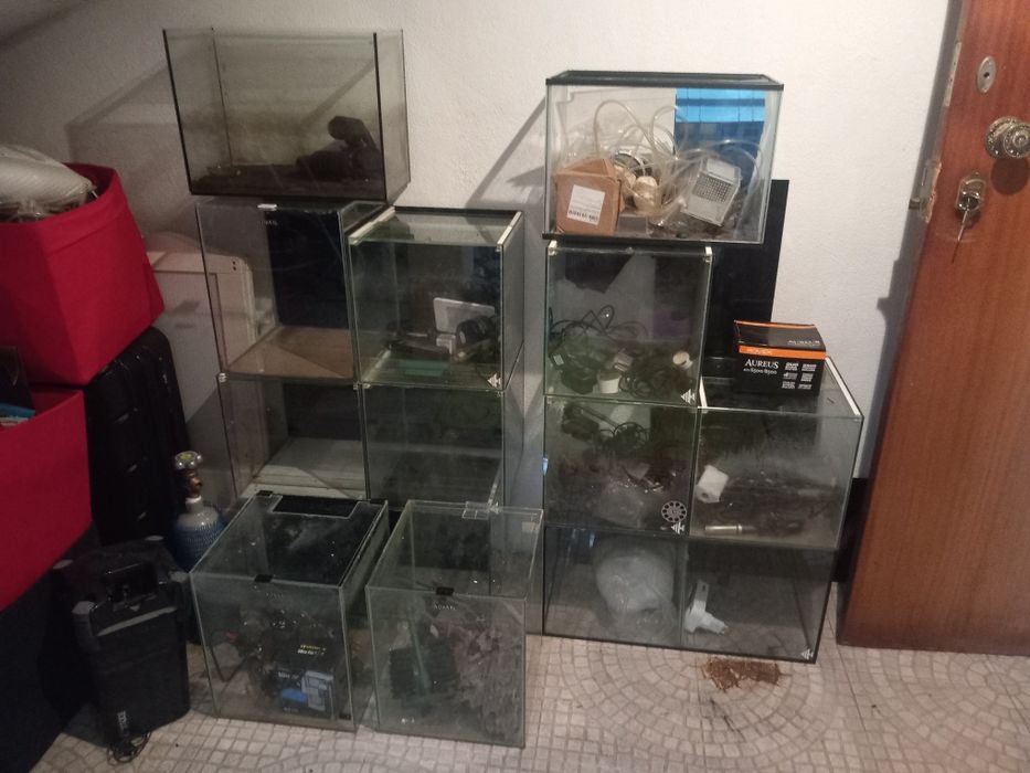 Vendo aquarios todos com tampa e varios tamanhos