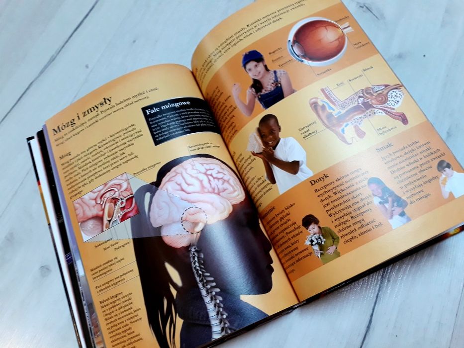 Encyklopedia ilustrowana swiat wiedzy w twoich rekach