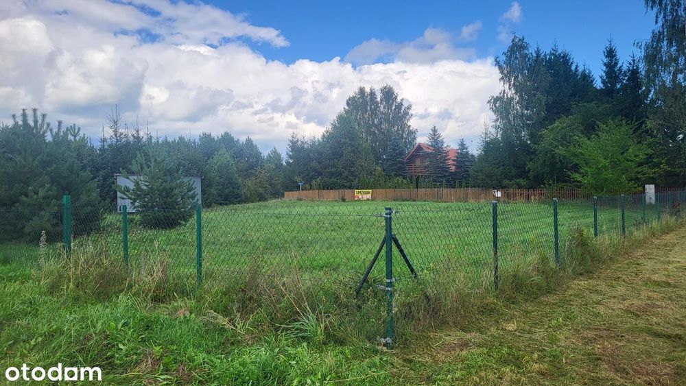 Działka Rybczyzna nad jeziorem Dręstwo - Widok 5