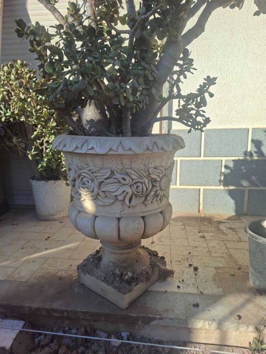 Vasos de cimento
