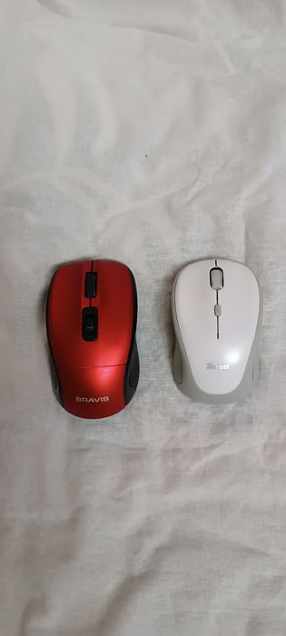 Мышь компьютерная