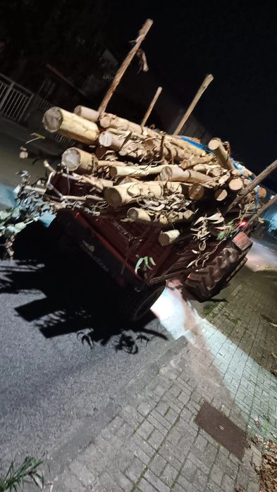 Limp.Terrenos,Trabalhos Agrícolas,Jardinagem e Transportes