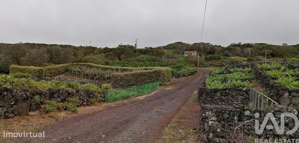 Terreno em Piedade