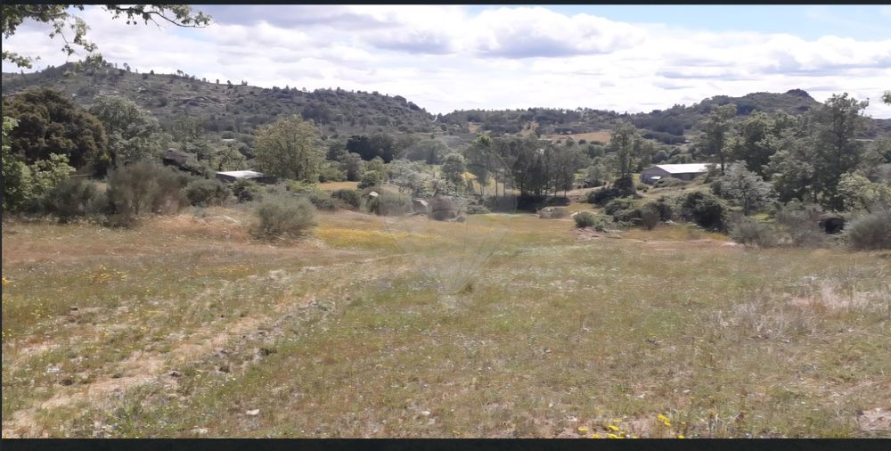 Oportunidade Única Quinta de Sonho com 14,5 Hectares na Histórica Vila