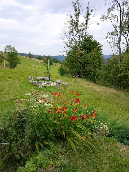 Domek w górach do wynajęcia Nowy Targ Zakopane