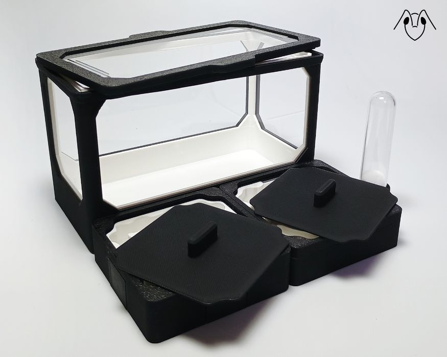 Formikarium AVERAGE M - Modułowe Terrarium Dla Mrówek 140x140