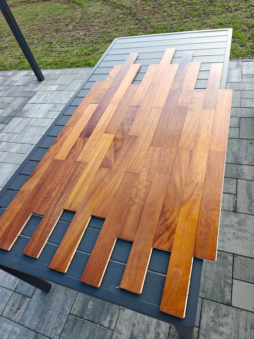 Parkiet Iroko egzotyk Okazja