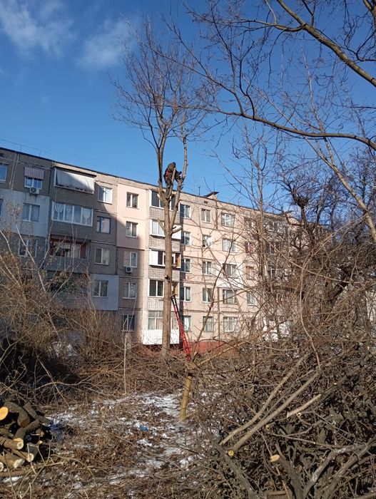 Спил дерев, спилить дерево,розчистка участок