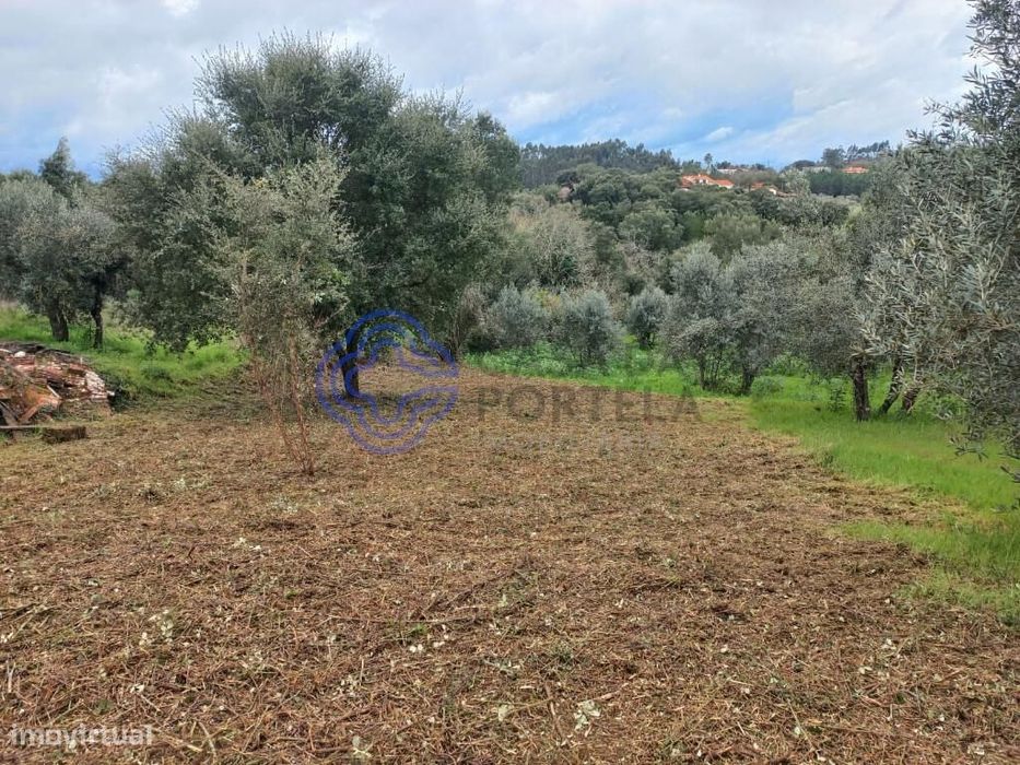 Terreno com possibilidade de construção com 600 m2 a 15 minutos de Tom