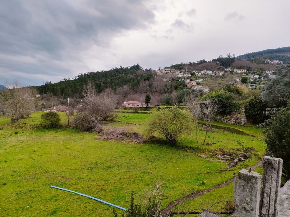 Quinta com 20 000 M2 em Santa Marinha - Ribeira Pena
