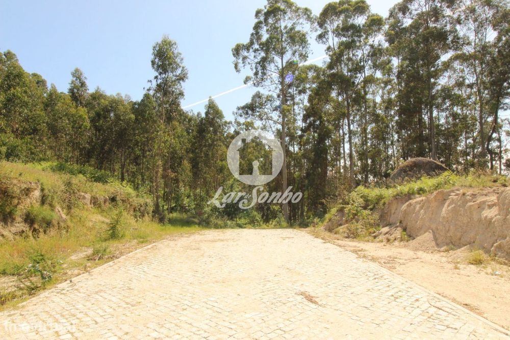 erreno com 5.000 m² em Arões S. Romão  Fafe — Arões (São Romão), Braga
