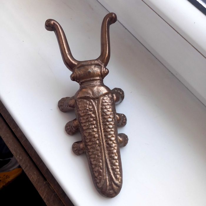 Skarabeusz  do.  obuwia