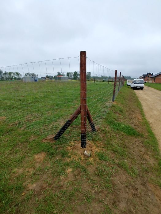 Ogrodzenie tymczasowe z siatki leśnej